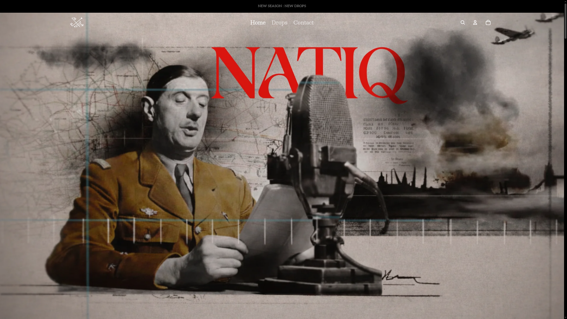 Natiq website preview