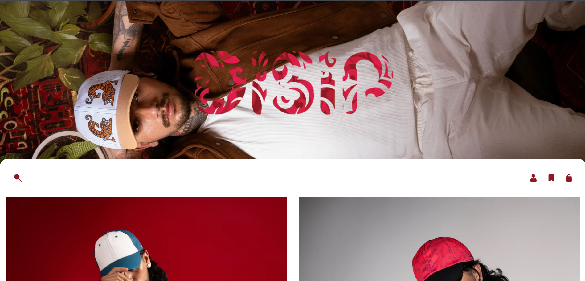 Disip website preview