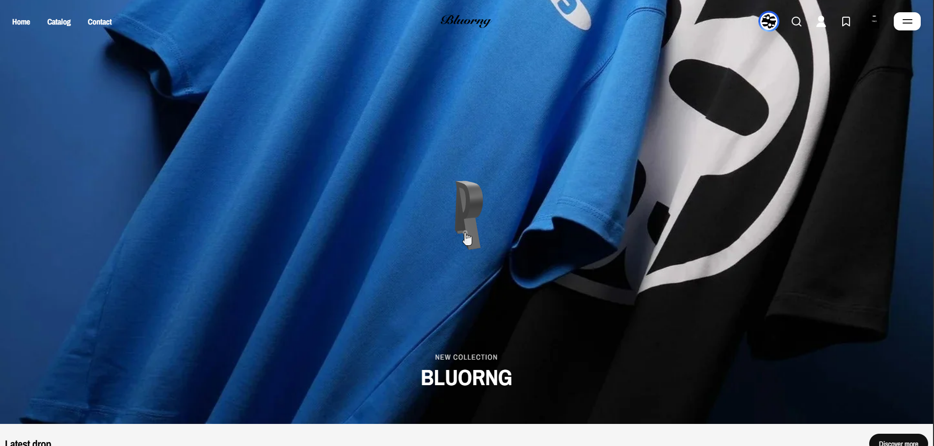 Bluorng — Demo website preview